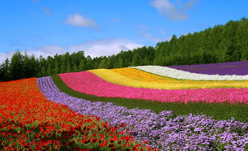 登別棕熊牧場門票