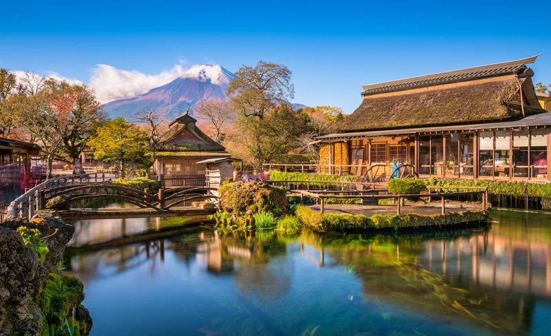 山梨｜河口湖大石公園＆富岳風穴＆鳴澤冰穴＆忍野八海一日遊｜東京出發