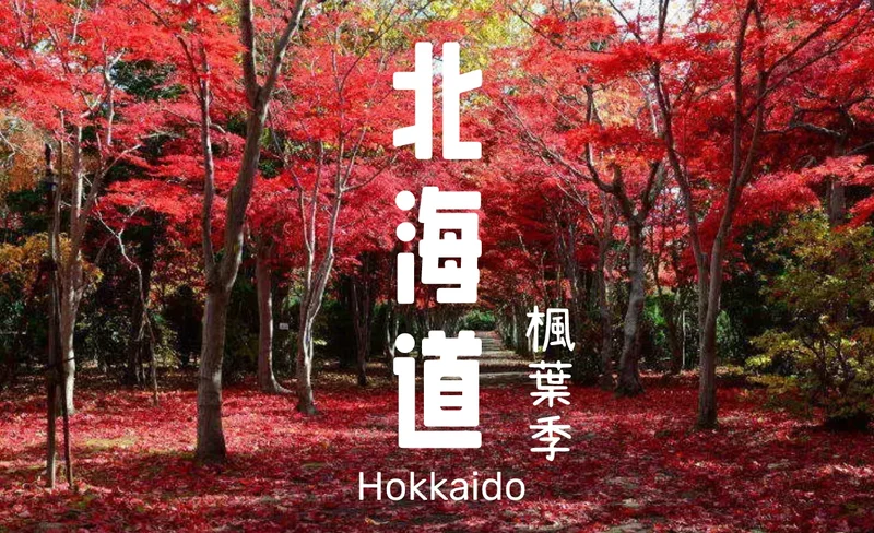 包車遊覽｜北海道札幌＆定山溪＆小樽一日遊 ｜行程可自由搭配