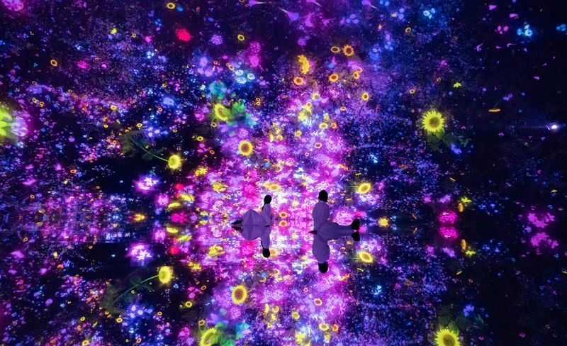 東京豐洲 TeamLab Planets 展覽門票