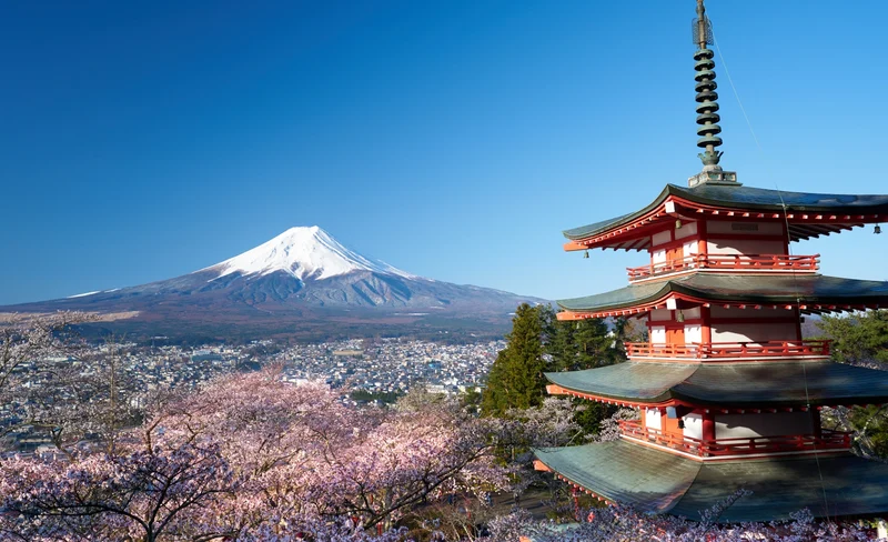 富士山地區熱門景點私人遊（東京出發）