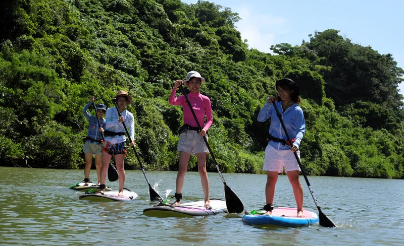 比謝川紅樹林SUP立式划槳體驗