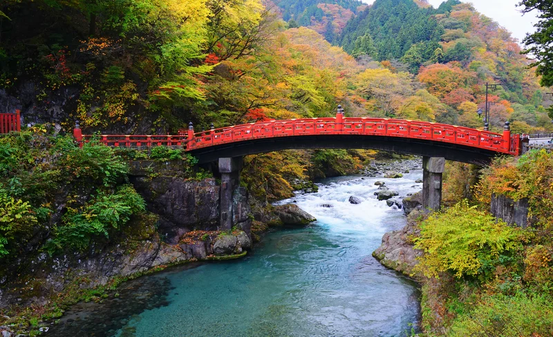 日光世界遺產東照宮 & 足利花卉公園燈光秀一日遊 (東京出發)