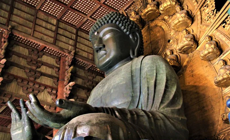 奈良市半日遊：東大寺＆春日大社＆興福寺