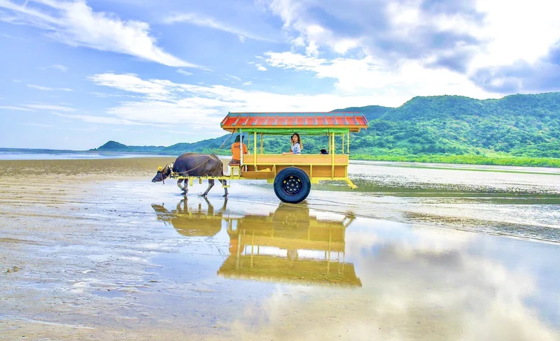由布島浮潛觀光之旅