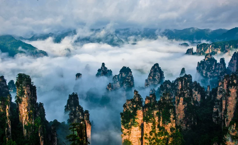 張家界國家森林公園一日遊（私家團）
