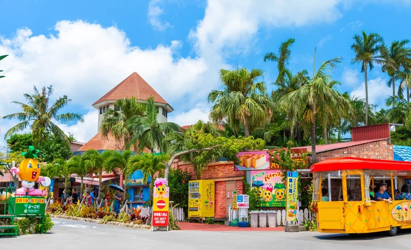 天然海灘浮潛體驗