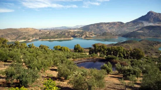 隆達＆白色山城一日遊（塞維亞出發）