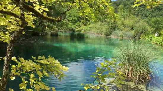 拉斯托克 & 十六湖一日遊（薩格勒布出發）