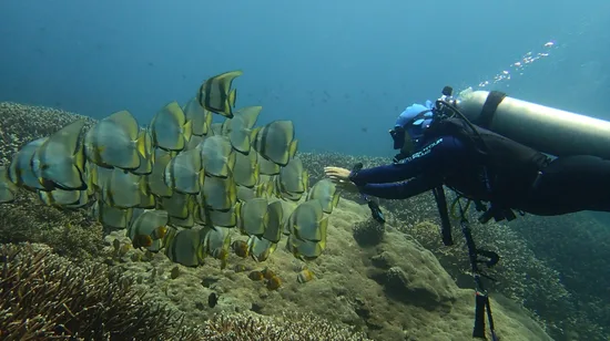 巴厘島PADI開放水域潛水課程（Bali Aqua Dive提供）