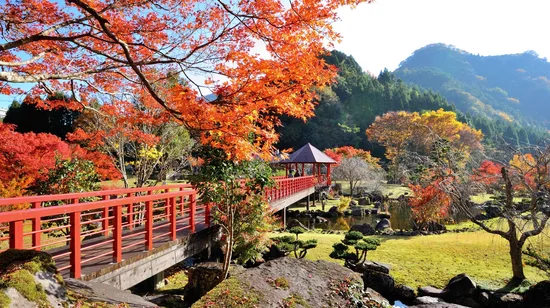 【期間限定・賞楓一日遊】一目八景&溪石園&九醉溪&九重夢大吊橋（福岡出發）