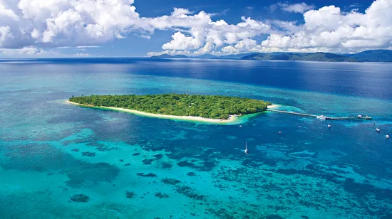 綠島珊瑚礁遊輪一日遊（凱恩斯出發）