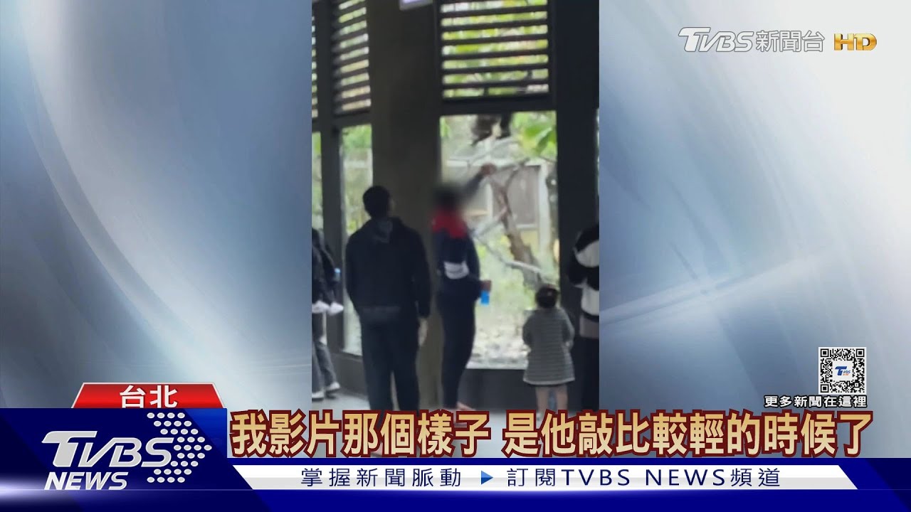 最壞身教! 男拍打動物園玻璃逗弄 猴驚恐嚎叫｜TVBS新聞 @tvbsn
