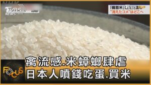 禽流感.米蟑螂肆虐 日本人噴錢吃蛋.買米｜方念華｜FOCUS全球新聞20250206 @TVBSNEWS01