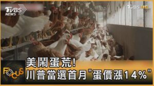 美鬧蛋荒! 川普當選首月「蛋價漲14%」｜方念華｜FOCUS全球新聞20250206 @TVBSNEWS01