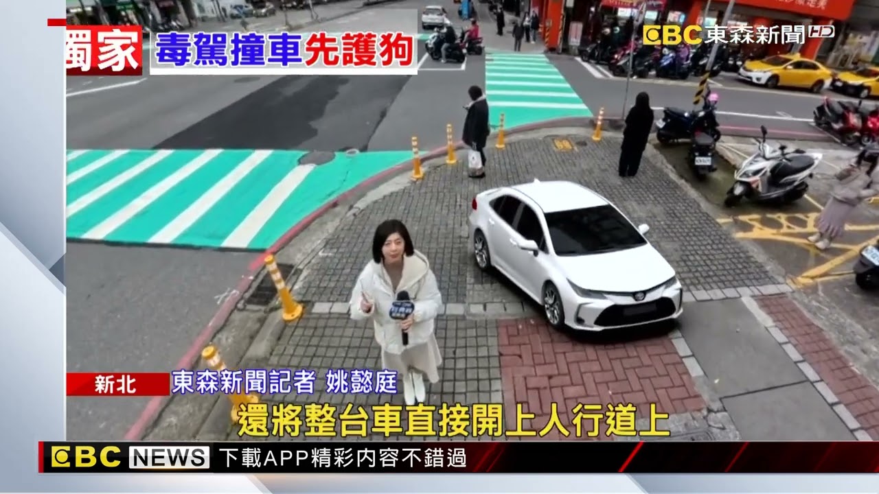 獨家》女不惜毒駕只為「帶狗洗澡」 危險逆向衝人行道 @newsebc