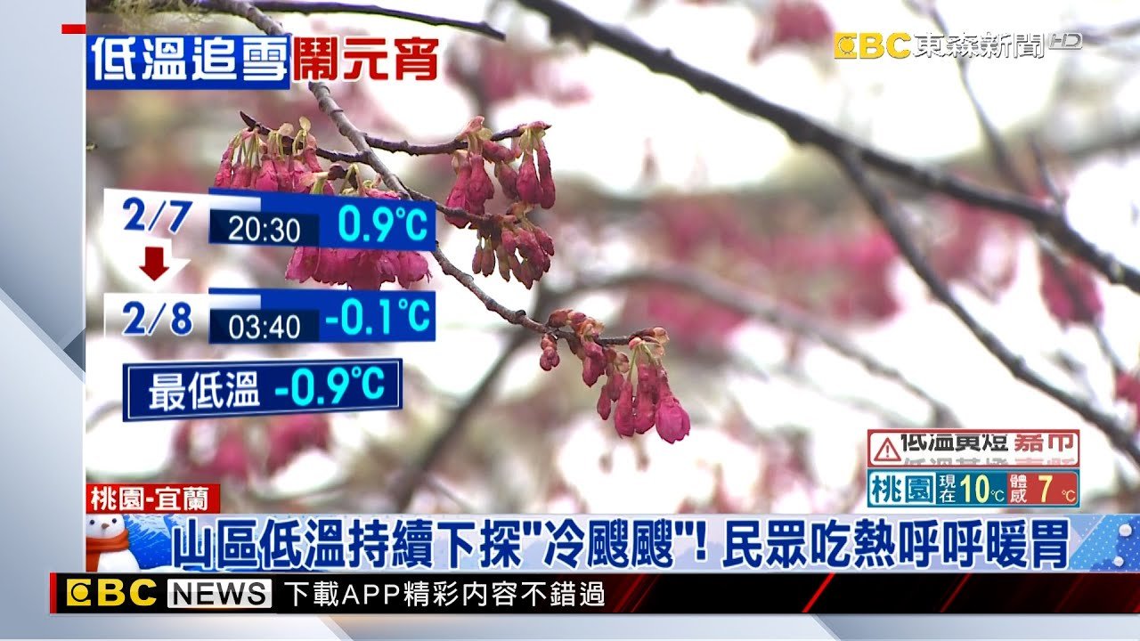 太平山「降冰霰」如雪白世界 冷颼颼晨低溫探-1.3℃ @newsebc