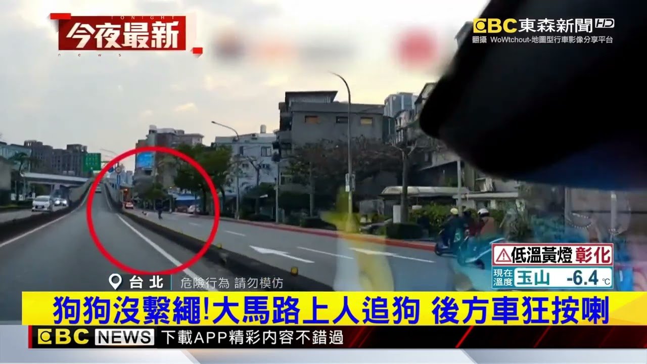 大馬路上人追狗 狗沒繫繩危及他人行車安全@newsebc