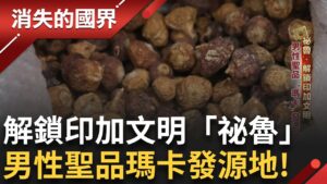 揭密超級食物發源地 神秘的印加古文明曾擁有最偉大的人類文明！「安地斯神獸」可愛羊駝竟來自秘魯？半路出家的台裔賭王 用「吃到飽」留住客人 ｜李文儀 主持｜【消失的國界完整版】20250208｜三立新聞台