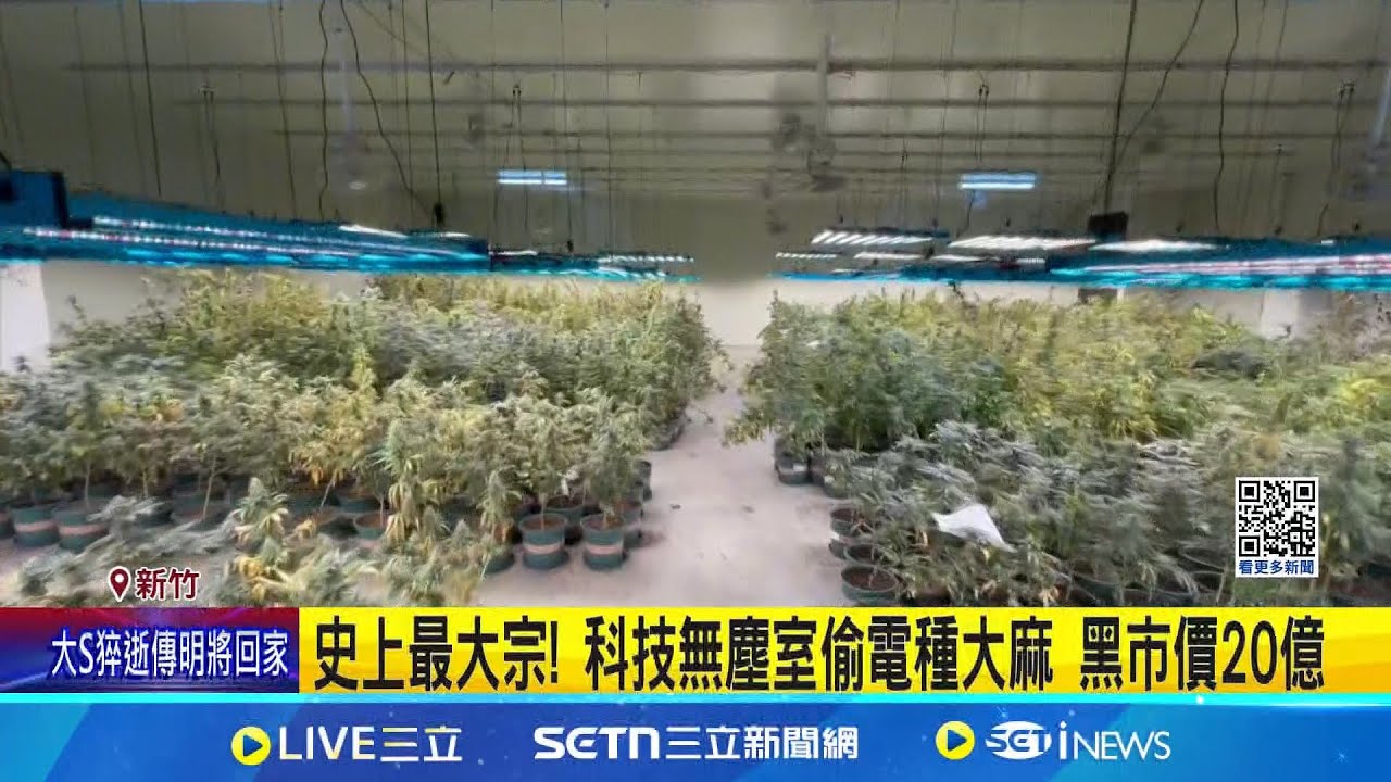 史上最大宗! 20億大麻銷毀 三環幫主嫌重判10年 砸重本蓋高科技廠房 20億大麻植栽全數銷毀│記者 鮑琇微 張浩譯│新聞一把抓20250205│三立新聞台