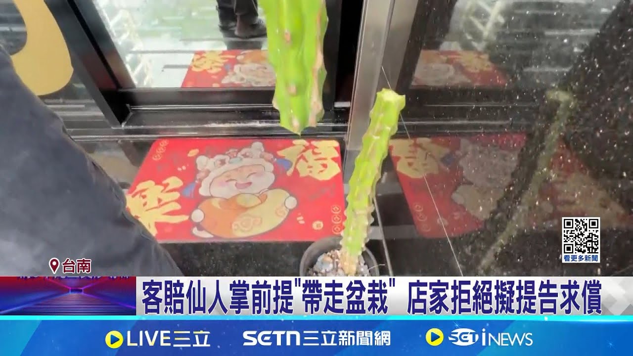 客踢斷仙人掌稱”賠款搬盆栽” 店家氣炸起爭執 抱童嬉戲踢斷仙人掌 客裝沒事繼續用餐 店家拒絕擬提告求償│記者 薛仁宏 何正鳳│新聞一把抓20250201│三立新聞台