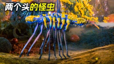 蟲子長了兩個頭，可以往兩邊走，科幻，奇幻，電影，解說，獵奇，懸疑，冒險，超能力，外星人