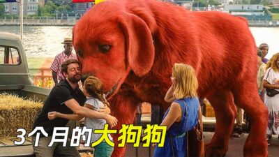 3個月大的狗狗，長得比人還高，科幻，奇幻，電影，解說，獵奇，超能力，懸疑，喜劇，搞笑