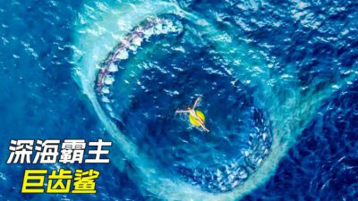 海洋裡出現一頭30米的巨齒鯊，科幻，奇幻，電影，解說，獵奇，喜劇，搞笑，超能力