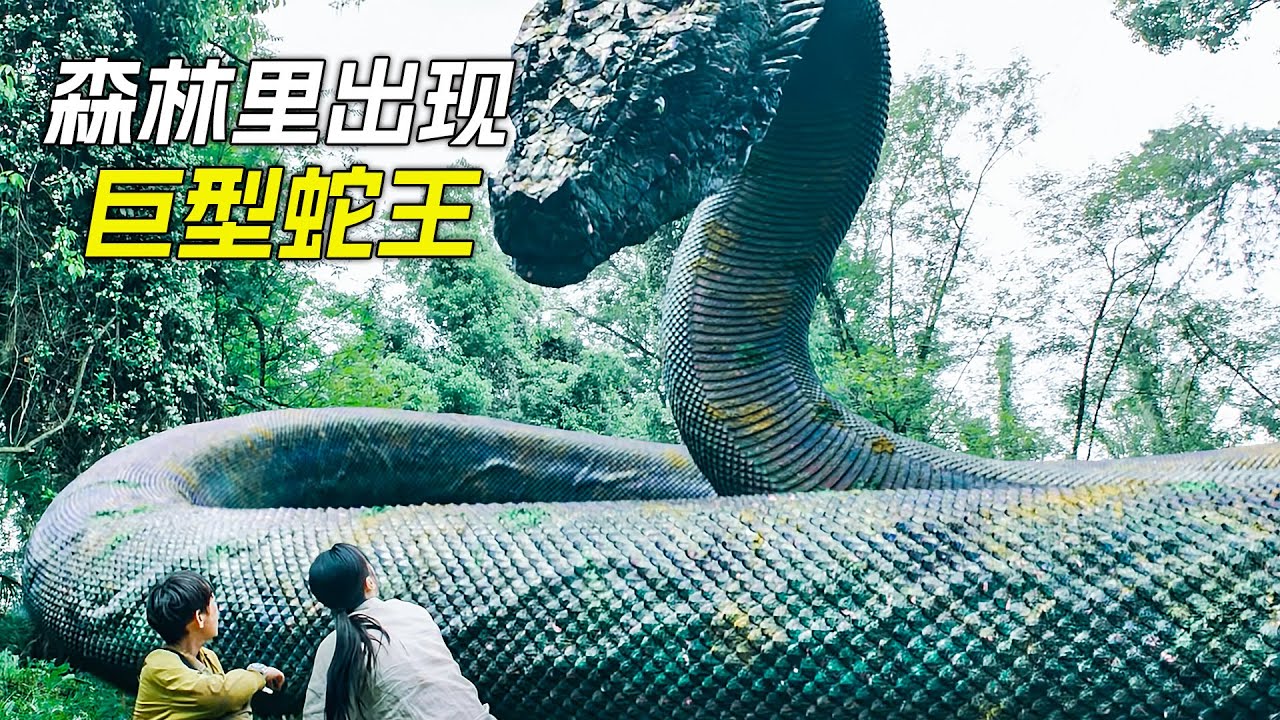 森林裡出現巨型蛇王，可男孩看到後卻一點都不害怕，科幻，奇幻，電影，解說，獵奇，懸疑，冒險，巨獸，怪獸