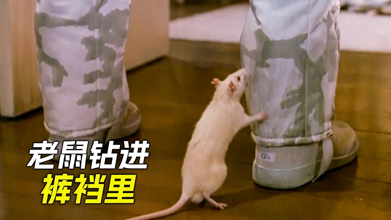 被賊入室，不料屋裡到處都是機關，電影，解說，獵奇，喜劇，搞笑，犯罪