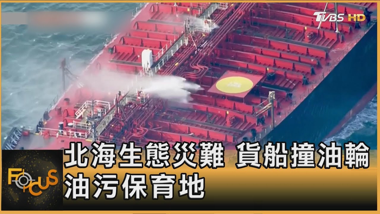 北海生態災難 貨船撞油輪 油污保育地 ｜方念華｜FOCUS全球新聞20250312 @tvbsfocus