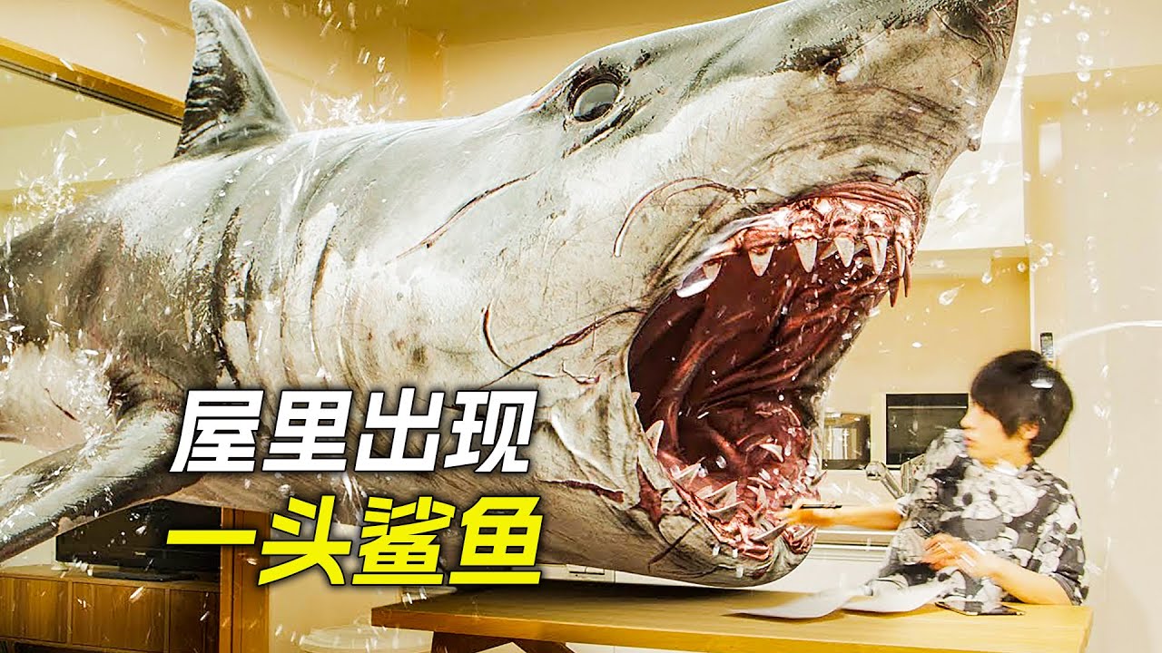 小夥寫作業時，屋裡突然出現一頭鯊魚，科幻，奇幻，電影，解說，獵奇，冒險，超能力，懸疑，喜劇，搞笑，短片，short film