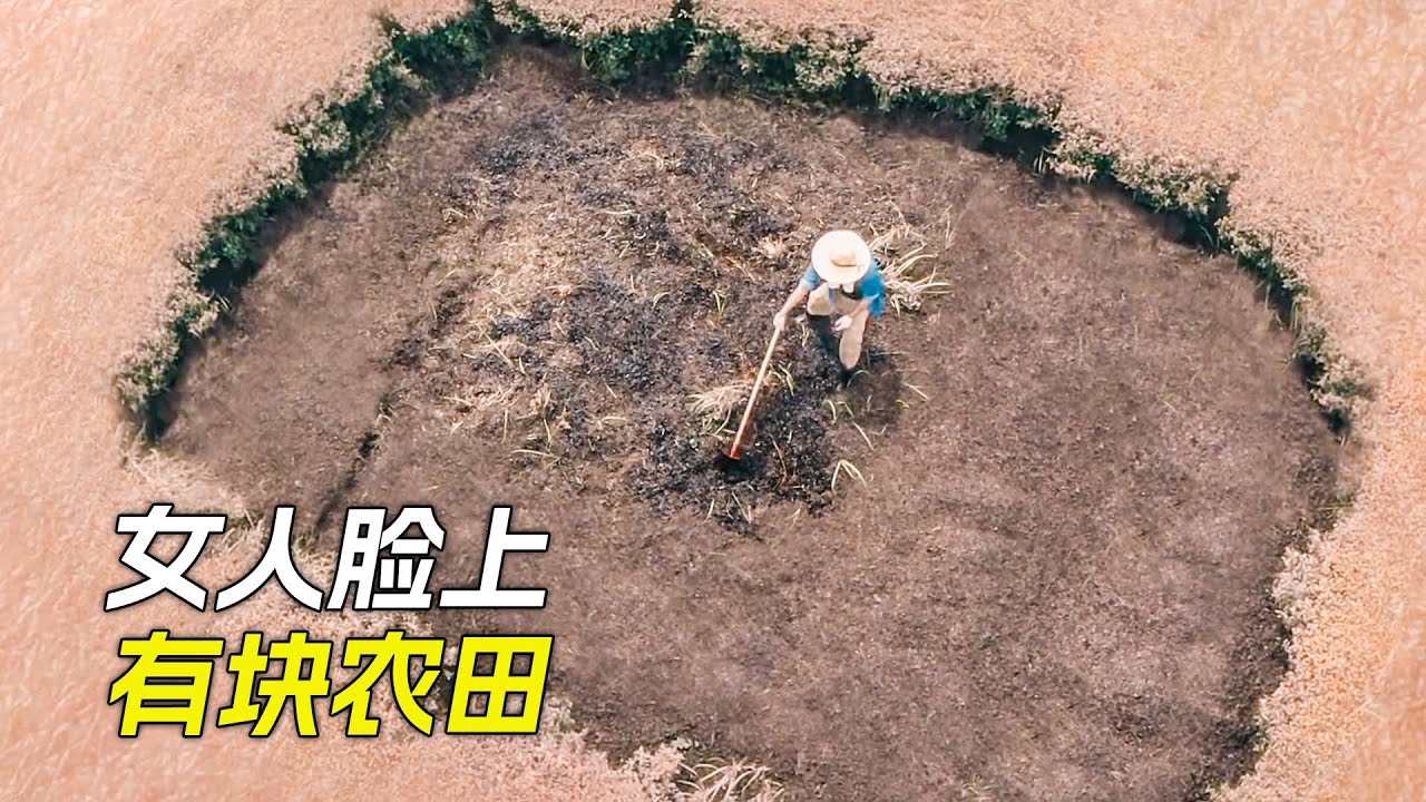 女人臉上長了塊農田，人們在上面種地，科幻，奇幻，電影，解說，獵奇，冒險，懸疑，超能力，短片，short film