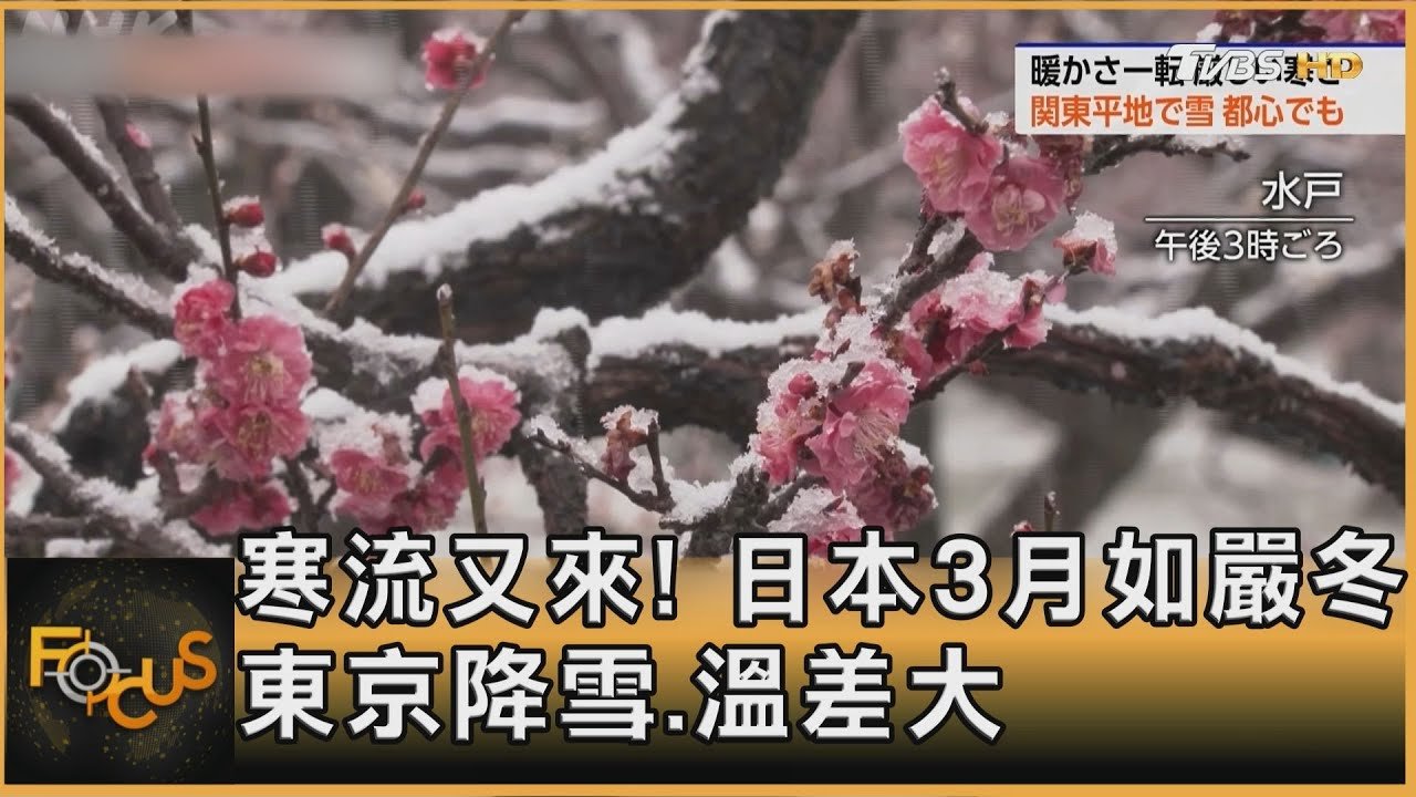 寒流又來! 日本3月如嚴冬 東京降雪.溫差大｜方念華｜FOCUS全球新聞20250304 @tvbsfocus