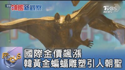 國際金價飆漲 韓黃金蝙蝠雕塑引人朝聖｜FOCUS午間新聞 20250228 @tvbsfocus