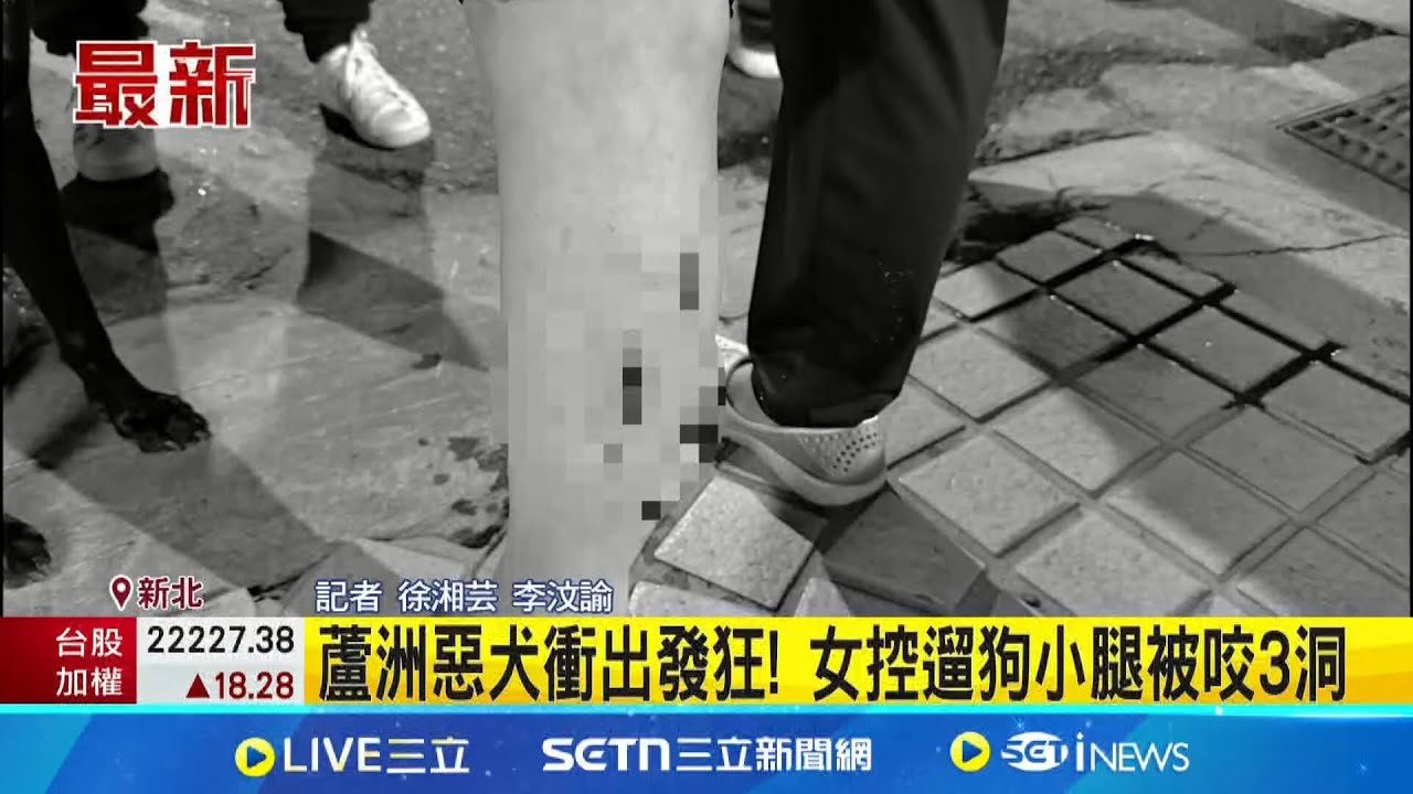 嚇!!蘆洲兇猛惡犬發狂傷人 女子控訴遛狗小腿遭咬3洞 她的愛犬也遭攻擊咬傷│記者 徐湘芸 李汶諭│新聞一把抓20250324│三立新聞台