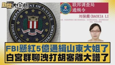 FBI懸紅5億通緝山東大姐了 白宮群聊洩打胡塞離大譜了【#新聞大白話】20250325 10｜#賴岳謙#林郁方#黃征輝