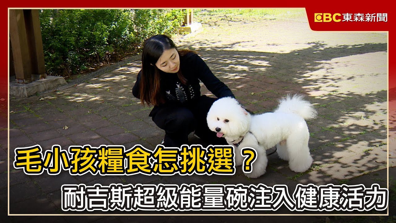 毛小孩糧食怎挑選？耐吉斯超級能量碗注入健康活力