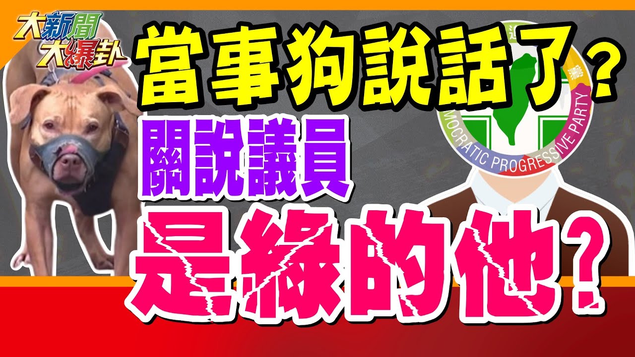 當事狗說話了?關說議員是綠的他? 比特犬咬人未沒入!”誰”喬的? 她酸綠執政只有一個字瞎!【#大新聞大爆卦】精華版2 @大新聞大爆卦HotNewsTalk
