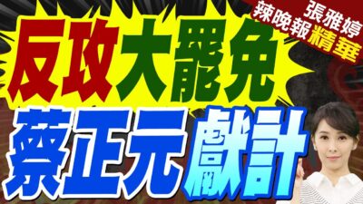 蔡正元:這是政黨對決 國民黨一點狼性都沒有 怎麼跟這匹狼來鬥!李永萍:藍白要做反制巡講! | 反攻大罷免 蔡正元獻計【張雅婷辣晚報】精華版@中天新聞CtiNews