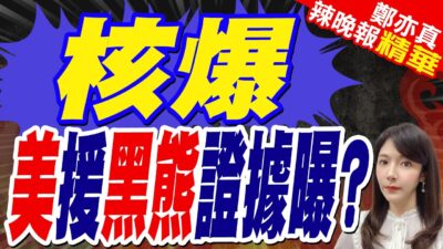 侯漢廷爆黑熊秘密 沈伯洋酸抹黃比較快｜核爆 美援黑熊證據曝?｜郭正亮.介文汲.張延廷深度剖析?【鄭亦真辣晚報】精華版 @中天新聞CtiNews