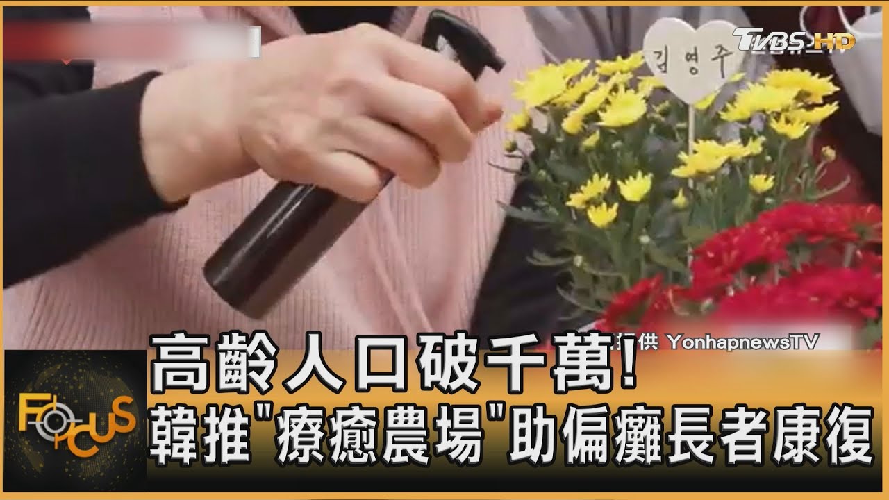 高齡人口破千萬! 韓推「療癒農場」助偏癱長者康復  ｜方念華｜FOCUS全球新聞20250130 @tvbsfocus