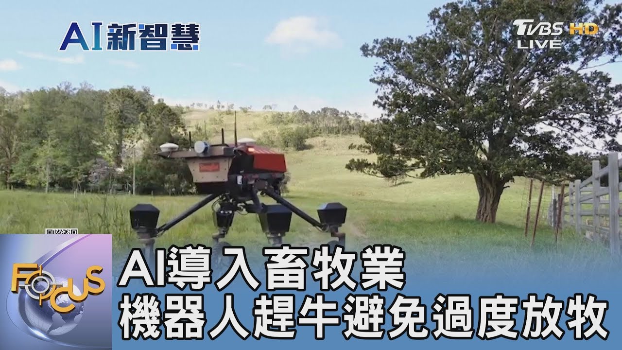 AI導入畜牧業 機器人趕牛避免過度放牧｜FOCUS午間新聞 20250110 @tvbsfocus
