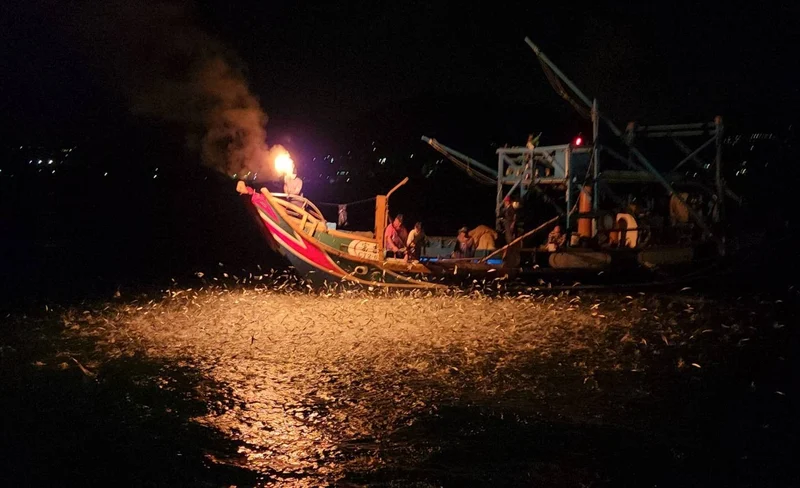 基隆海上螢火蟲遊艇欣之旅&海釣小卷&小卷米粉自助吧-KLOOK