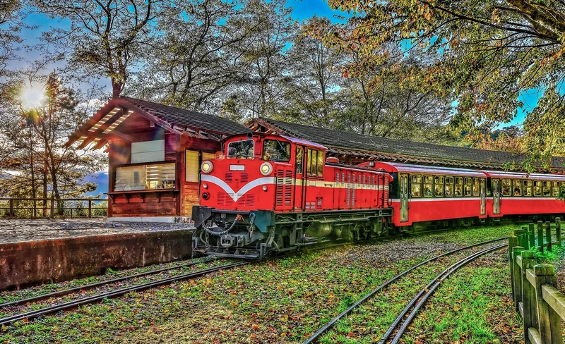 嘉義: 阿里山私人兩日遊 (台北出發)-KLOOK