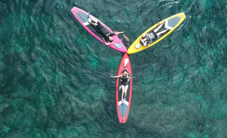 nvq5f8yr9blsf4qxmcqo