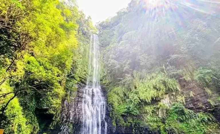 ptdnbwrqyimytgzqssgf