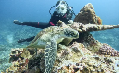 綠島: 火燒島 - 潛水 (PADI OW / AOW / 救援Rescue / 自由潛水考照 / 體驗潛水 / 旅遊潛水-KLOOK