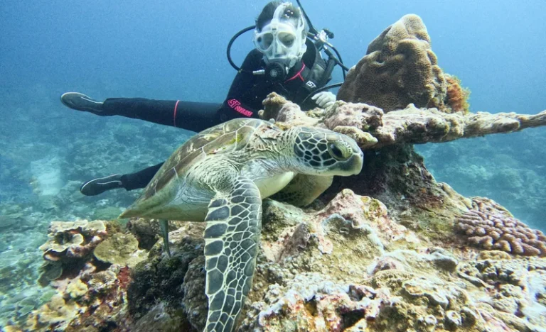 r3y1hsviv7pzaoo2yyvn