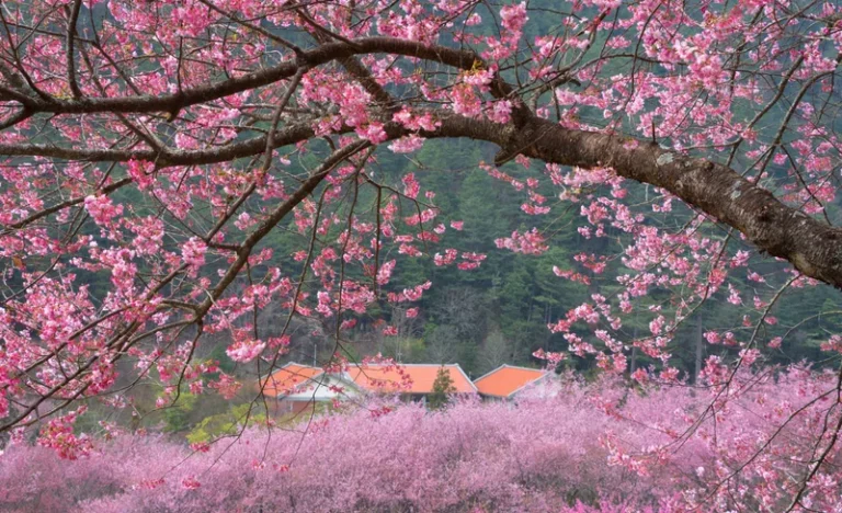 tmnfjkg7ce8wzcywk9mi